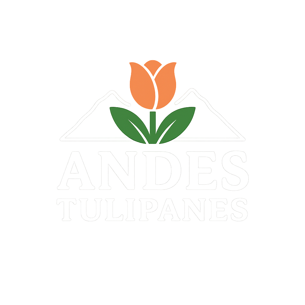 Andes Tulipanes